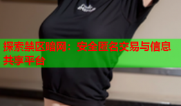 探索禁区暗网：安全匿名交易与信息共享平台
