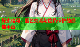 探索暗网：匿名交流与隐私保护的最佳平台