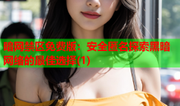 暗网禁区免费版：安全匿名探索黑暗网络的最佳选择(1)