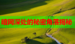 暗网深处的秘密角落揭秘