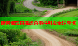 暗网惊现直播虐杀事件引发全球震惊