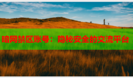 暗网禁区账号：隐秘安全的交流平台