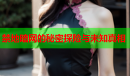 禁地暗网的秘密探险与未知真相