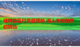 暗网禁区付费版揭秘 进入未知世界的钥匙