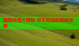 暗网真相大揭秘 你不知道的黑暗世界