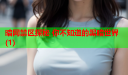 暗网禁区探秘 你不知道的黑暗世界(1)