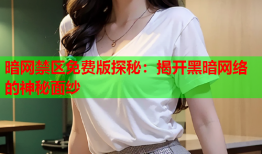 暗网禁区免费版探秘：揭开黑暗网络的神秘面纱