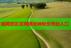暗网禁区官网揭秘神秘世界的入口