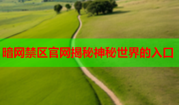 暗网禁区官网揭秘神秘世界的入口