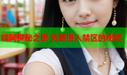 暗网探秘之旅 免费进入禁区的秘密