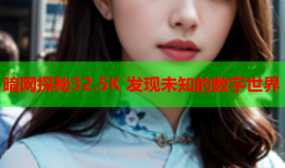暗网探秘32.5K 发现未知的数字世界