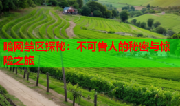 暗网禁区探秘：不可告人的秘密与惊险之旅