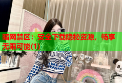 暗网禁区：安全下载隐秘资源，畅享无限可能(1)