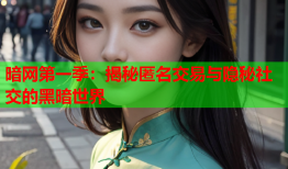 暗网第一季：揭秘匿名交易与隐秘社交的黑暗世界