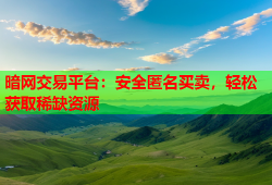 暗网交易平台：安全匿名买卖，轻松获取稀缺资源
