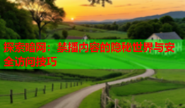 探索暗网：禁播内容的隐秘世界与安全访问技巧