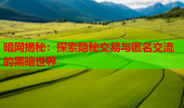 暗网揭秘：探索隐秘交易与匿名交流的黑暗世界