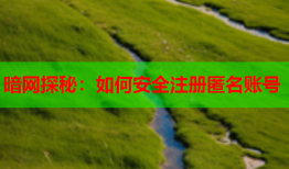 暗网探秘：如何安全注册匿名账号
