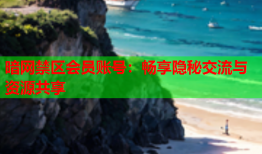 暗网禁区会员账号：畅享隐秘交流与资源共享