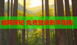 暗网探秘 免费登录新手指南