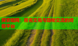 探索暗网：匿名交易与隐秘交流的终极平台