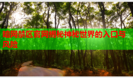 暗网禁区官网揭秘神秘世界的入口与风险