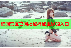 暗网禁区官网揭秘神秘世界的入口