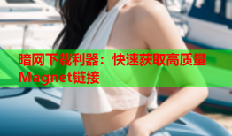 暗网下载利器：快速获取高质量Magnet链接