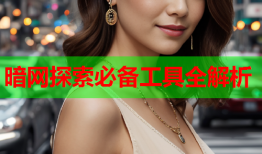 暗网探索必备工具全解析