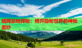 暗网禁地探秘：揭开隐秘世界的神秘面纱