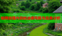 暗网禁播内容的法律风险与后果分析