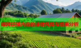 暗网禁播内容的法律风险与后果分析