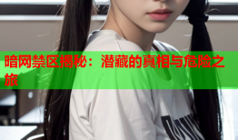暗网禁区揭秘：潜藏的真相与危险之旅