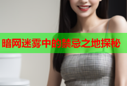 暗网迷雾中的禁忌之地探秘