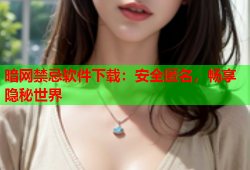 暗网禁忌软件下载：安全匿名，畅享隐秘世界