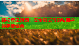 轻松登录暗网：安全浏览与隐私保护的完美结合