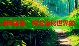 暗网禁区：探索隐秘世界的