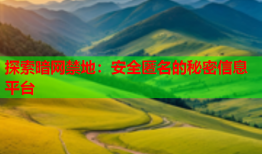 探索暗网禁地：安全匿名的秘密信息平台