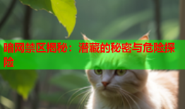 暗网禁区揭秘：潜藏的秘密与危险探险