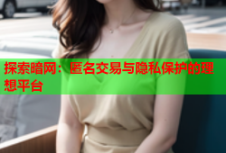 探索暗网：匿名交易与隐私保护的理想平台