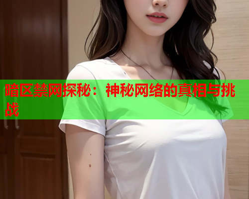 暗区禁网探秘：神秘网络的真相与挑战