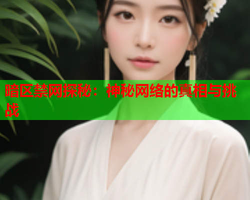 暗区禁网探秘：神秘网络的真相与挑战