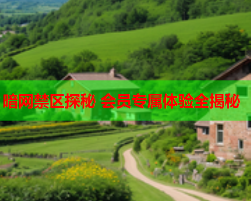 暗网禁区探秘 会员专属体验全揭秘