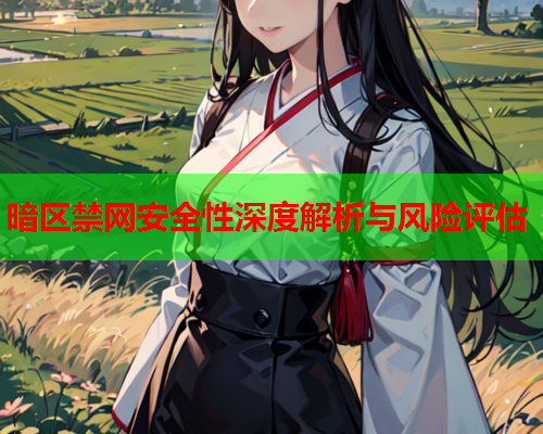 暗区禁网安全性深度解析与风险评估