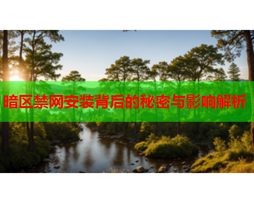 暗区禁网安装背后的秘密与影响解析