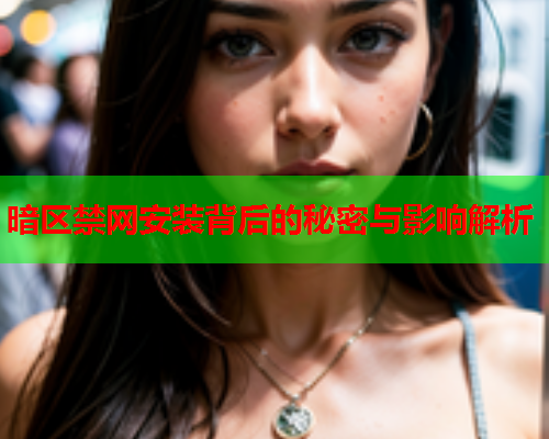 暗区禁网安装背后的秘密与影响解析