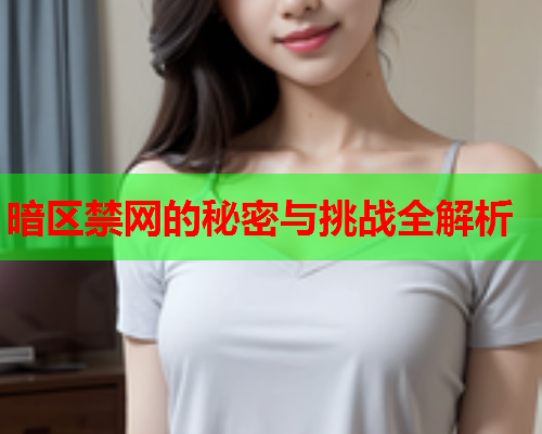 暗区禁网的秘密与挑战全解析
