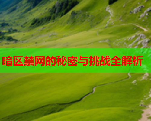 暗区禁网的秘密与挑战全解析