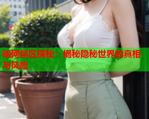 暗网禁区探秘：揭秘隐秘世界的真相与风险