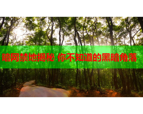 暗网禁地揭秘 你不知道的黑暗角落